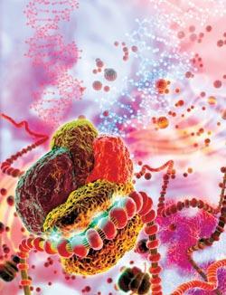 Журнал «Вокруг Света» №12 за 2008 год - TAG_img_cmn_2009_01_20_015_jpg480418