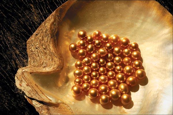 Журнал «Вокруг Света» №12 за 2009 год - TAG_img_cmn_2009_11_12_002_jpg187325