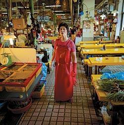 Журнал «Вокруг Света» №12 за 2009 год - TAG_img_cmn_2010_01_14_015_jpg705807