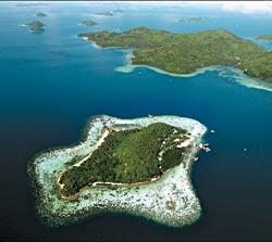 Журнал «Вокруг Света» №12 за 2009 год - TAG_img_cmn_2010_01_21_009_jpg687786