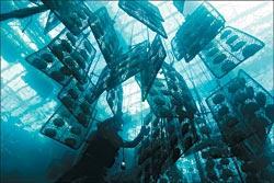 Журнал «Вокруг Света» №12 за 2009 год - TAG_img_cmn_2010_01_21_010_jpg129259