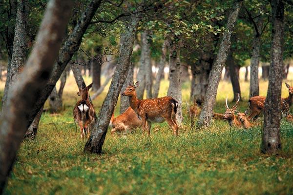 Журнал «Вокруг Света» №12 за 2009 год - TAG_img_cmn_2010_02_24_016_jpg29822