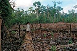 Журнал «Вокруг Света» №12 за 2009 год - TAG_img_cmn_2010_02_24_024_jpg711409