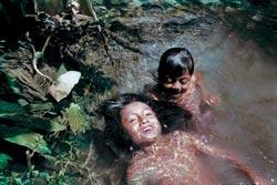 Журнал «Вокруг Света» №12 за 2009 год - TAG_img_cmn_2010_02_24_026_jpg866994