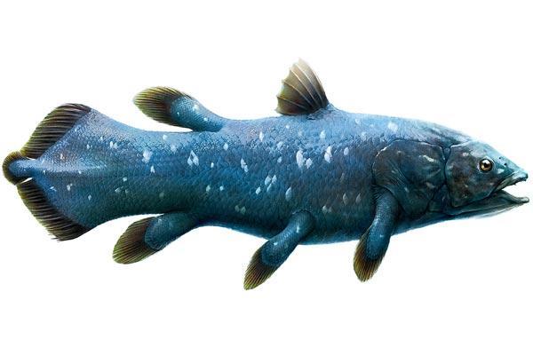 Журнал «Вокруг Света» №12 за 2010 год - TAG_img_cmn_2010_11_21_013_jpg490900