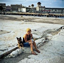 Журнал «Вокруг Света» №12 за 2010 год - TAG_img_cmn_2011_02_15_011_jpg681284