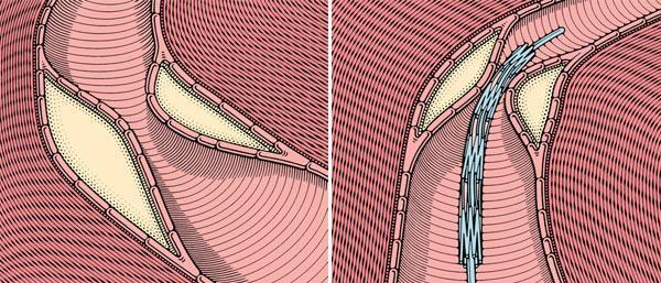 Журнал «Вокруг Света» №12 за 2010 год - TAG_img_cmn_2011_02_23_010_jpg378041