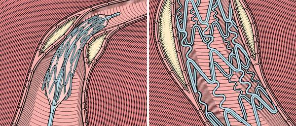 Журнал «Вокруг Света» №12 за 2010 год - TAG_img_cmn_2011_02_23_011_jpg812148