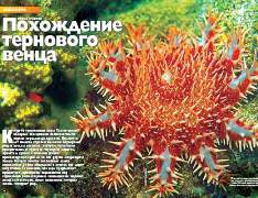 Журнал «Вокруг Света» № 1 за 2005 года (2772) - any2fbimgloader10.jpeg