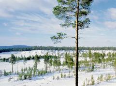 Журнал «Вокруг Света» №2 за 2003 год - any2fbimgloader11.jpeg