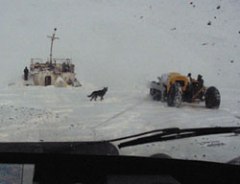 Журнал «Вокруг Света» №2 за 2003 год - any2fbimgloader3.jpeg