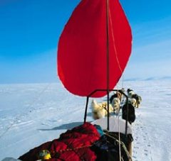 Журнал «Вокруг Света» №2 за 2004 год - any2fbimgloader3.jpeg