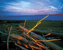 Журнал «Вокруг Света» №2 за 2004 год - any2fbimgloader5.jpeg