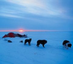 Журнал «Вокруг Света» №2 за 2004 год - any2fbimgloader6.jpeg