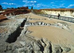 Журнал «Вокруг Света» №2 за 2004 год - any2fbimgloader16.jpeg