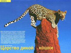 Журнал «Вокруг Света» №3 за 2004 год - any2fbimgloader12.jpeg