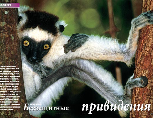 Журнал Вокруг Света № 3 за 2005 год (№ 2774) - any2fbimgloader17.jpeg