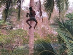 Журнал «Вокруг Света» №3 за 1999 год - _6363.jpg