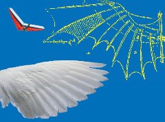 Журнал «Вокруг Света» №3 за 2001 год - _86.jpg