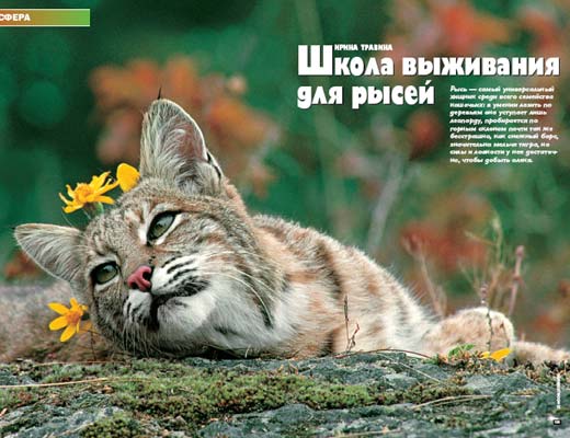 Журнал «Вокруг Света» № 4 за 2005 год (№ 2775) - any2fbimgloader20.jpeg