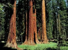 Журнал «Вокруг Света» №4 за 2001 год - _97.jpg