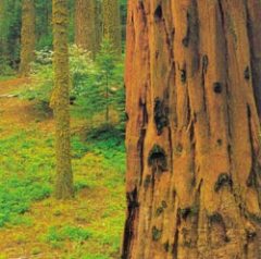 Журнал «Вокруг Света» №4 за 2001 год - _98.jpg