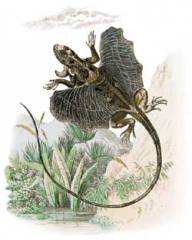 Журнал «Вокруг Света» №4 за 2001 год - _309.jpg