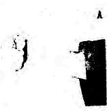 Основной курс тренировок. Том 2 - _59.jpg_0