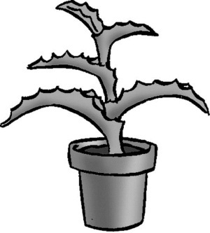 Самая нужная книга для настоящих женщин - i_042.jpg