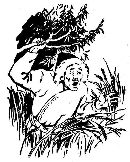 Черное озеро - pic_3.jpg