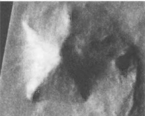 Мистерия Марса - i_031.jpg