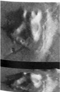 Мистерия Марса - i_032.jpg