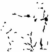 Занимательная психология - any2fbimgloader1.jpeg