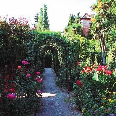 Лианы - i_009.jpg