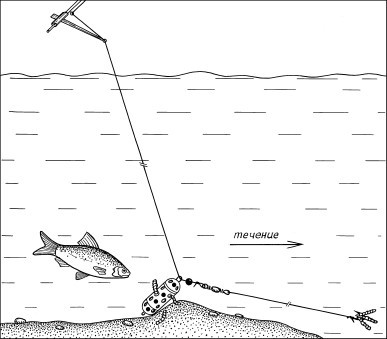 8000 рыбацких советов от знатока - i_013.jpg