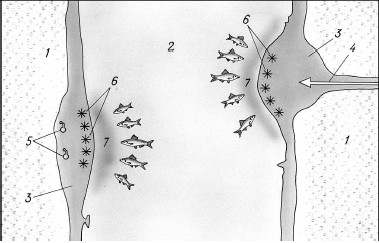 8000 рыбацких советов от знатока - i_014.jpg