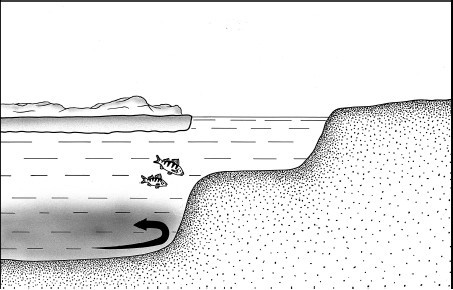 8000 рыбацких советов от знатока - i_016.jpg