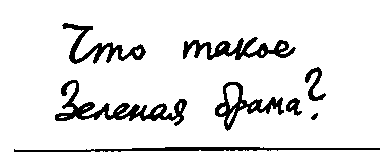 Зеленая брама - img_1.png