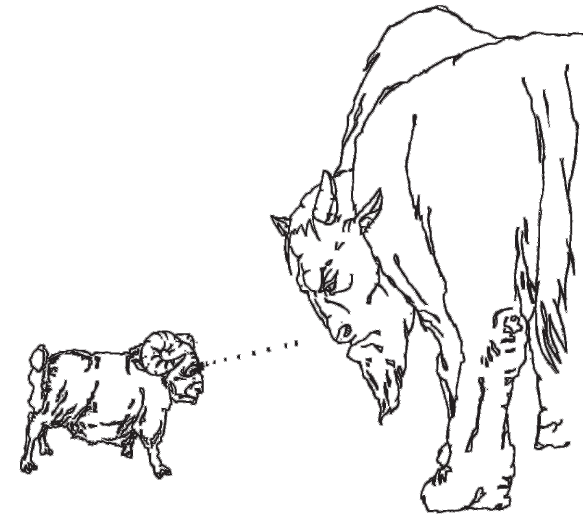 Секреты людей, которые живут 100 лет - i_024.png