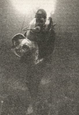 Сокровища на дне - i_016.jpg