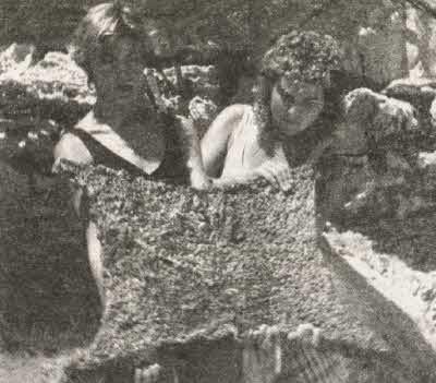 Сокровища на дне - i_062.jpg