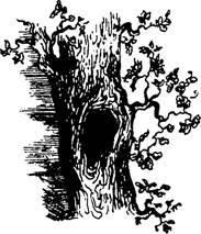 Мифогенная любовь каст, том 1 - image14.jpeg