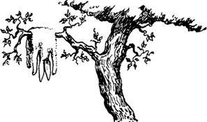 Мифогенная любовь каст, том 1 - image7.jpeg