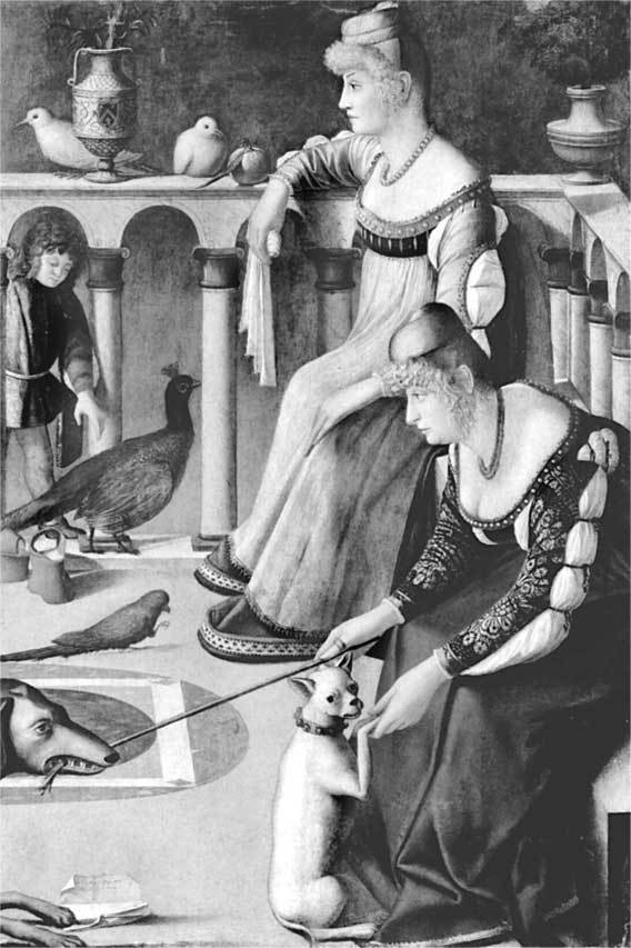 Секреты женщин Ренессанса - i_010.jpg