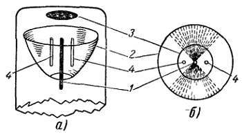 Радио?.. Это очень просто! - _428.jpg