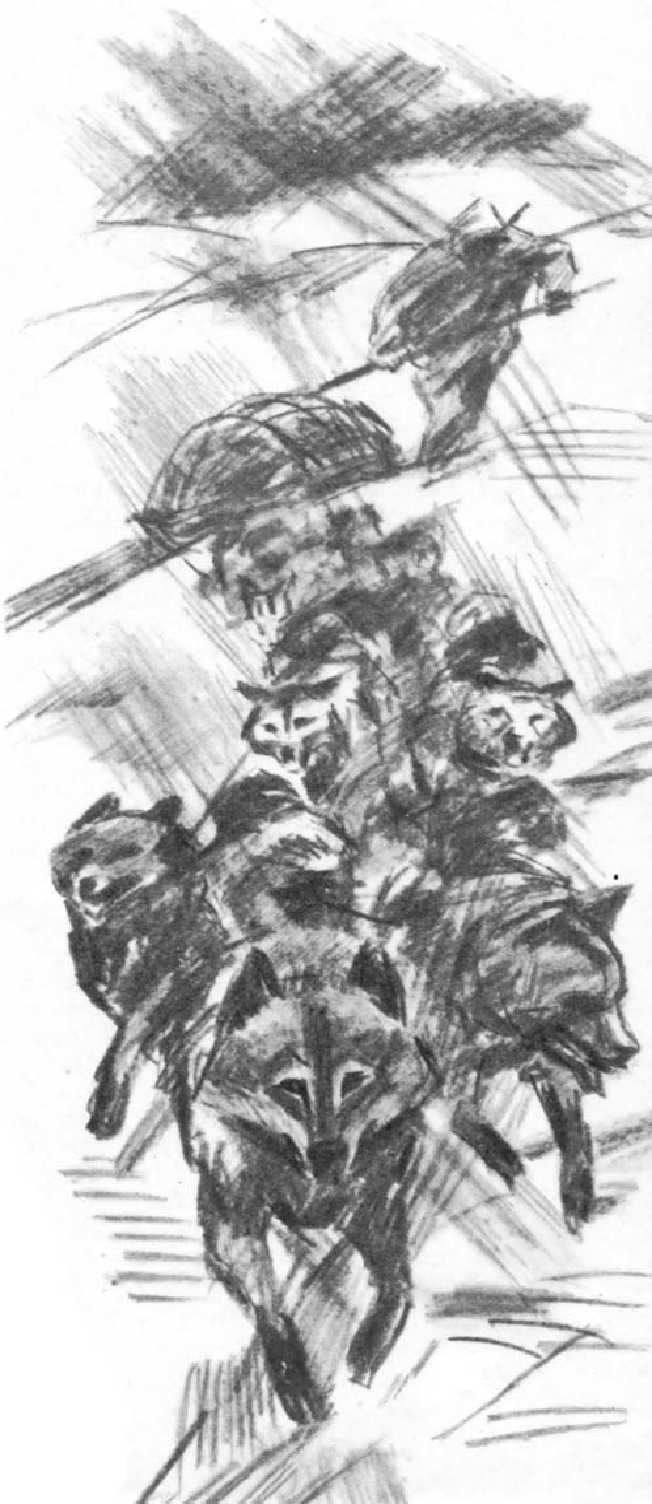 В сводке погоды - SOS - _1.png