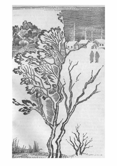 Три тополя - i_008.jpg