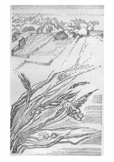 Три тополя - i_009.jpg