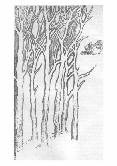 Три тополя - i_011.jpg