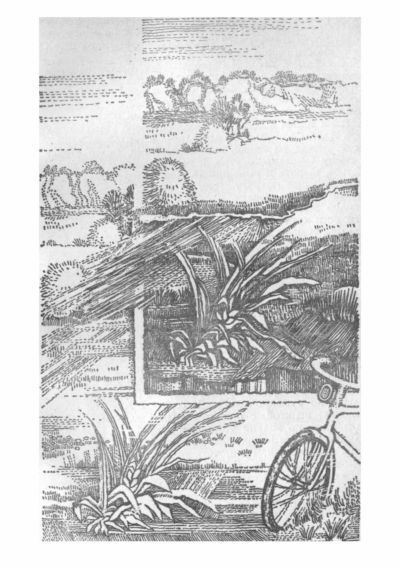 Три тополя - i_014.jpg